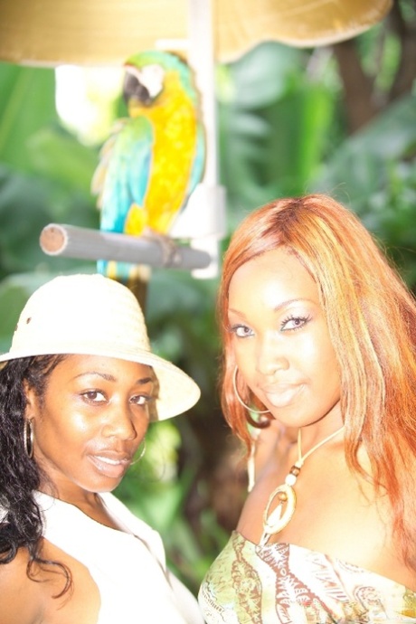 Amateur ebony hotties Beauty & Angel Eyes show off natural tits & sexy booty