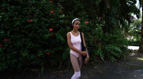Ebony with big titties Ariana Aimes hikes her skirt up & gets rammed in a van