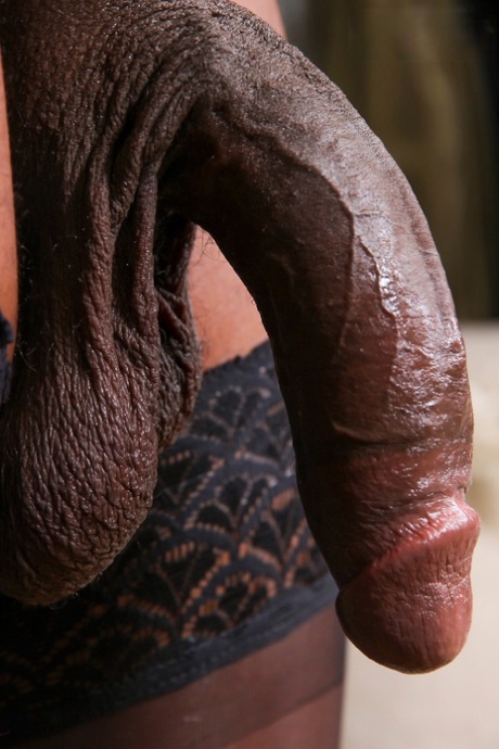 Black Shemale Cock Pics