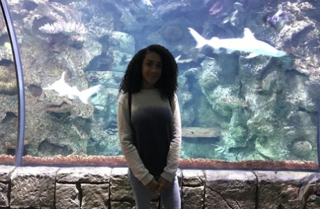Curly haired ebony girlfriend Ariana Aimes strips & exposes her black curves