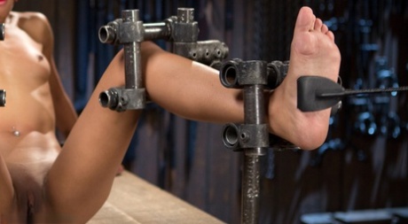 Inked ebony Skin Diamond gets her feet whipped & pussy toyed in metal bondage